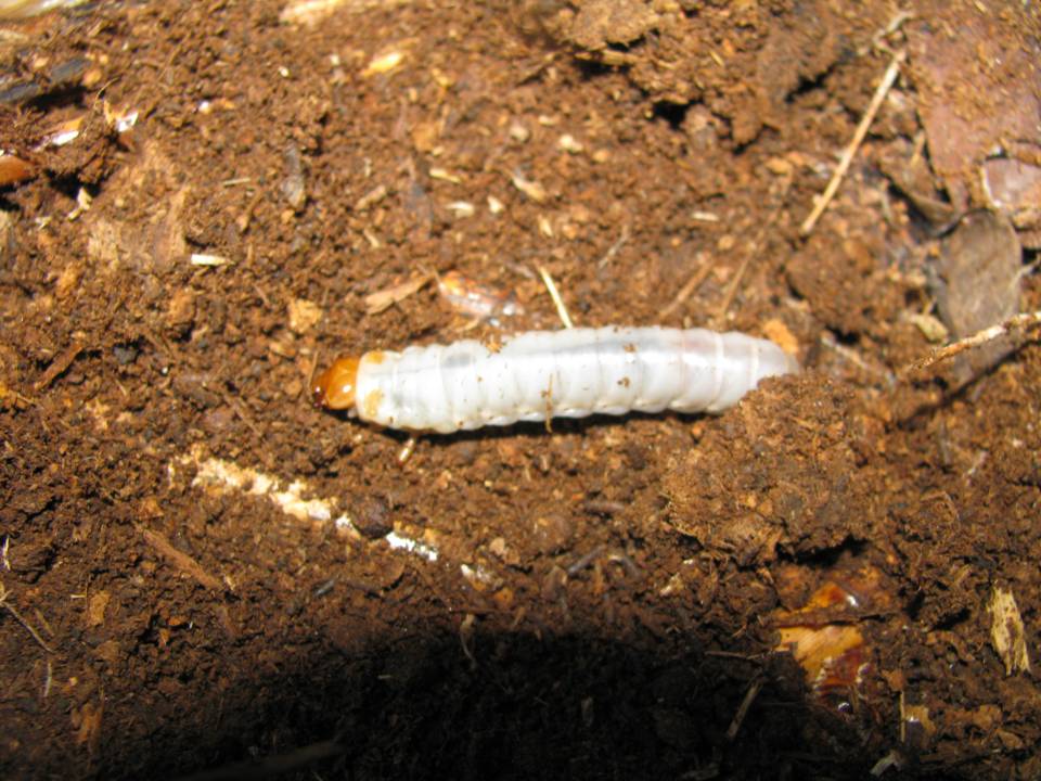 FIGURE 7 FIGURE 7